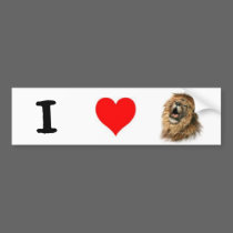 I Love Lions bumper stickers