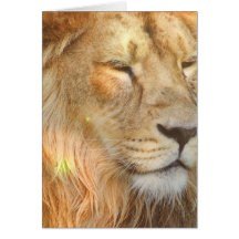 I Love Lions Greeting Card