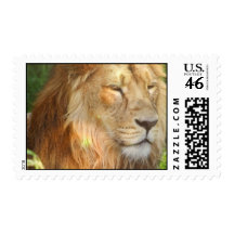 I Love Lions Postage Stamp