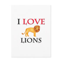I Love Lions Postcard