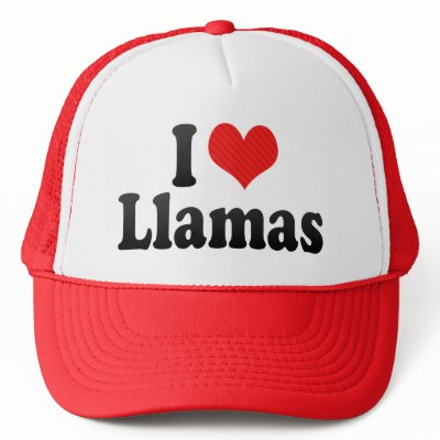 I Love Llamas Mesh Hats