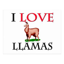 I Love Llamas Post Card