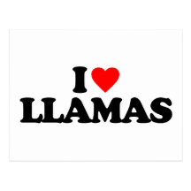 I LOVE LLAMAS POST CARD