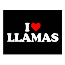 I LOVE LLAMAS POST CARDS