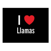 I love Llamas Postcard