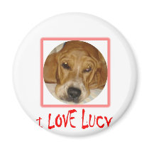 i love lucy magnets by georgeegrunt i love lucy magnets