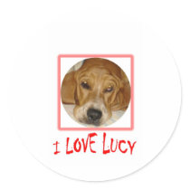 i love lucy stickers