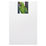 I love macaws! stationery paper