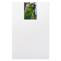 I love macaws! custom stationery