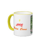 I LOVE Maine  Coons