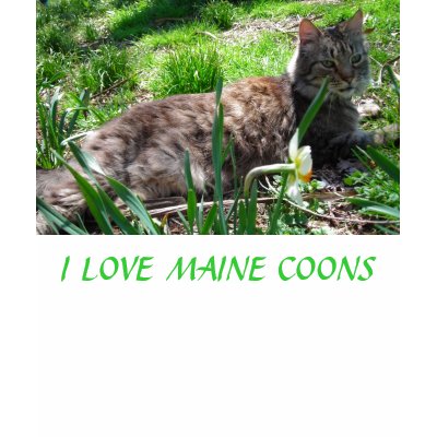 I LOVE MAINE COONS TEE SHIRTS by minx267