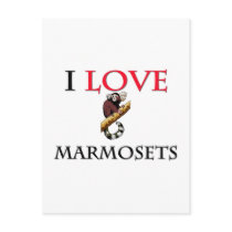 I Love Marmosets postcards