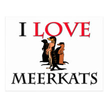 I Love Meerkats Post Card