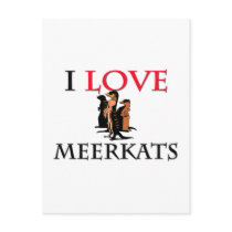 I Love Meerkats postcards