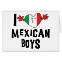 I Love Mexican Boys cards by Funny_Mexican_TShirt I Love Mexican Boys cards
