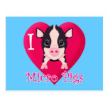 I Love Micro Pigs Post Card