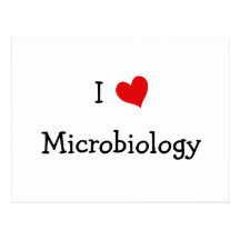 I Love Microbiology Postcards