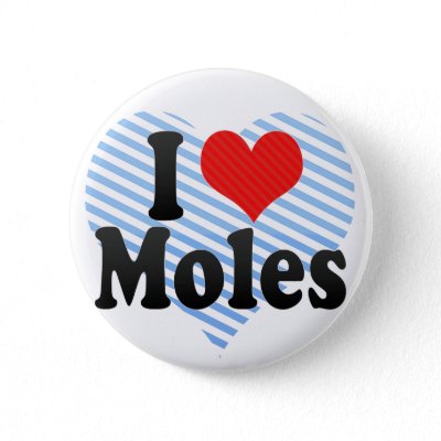 i love moles