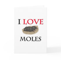 I Love Moles cards