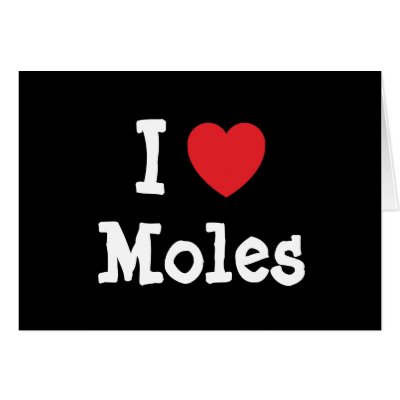 Moles Baby