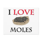 postcard - I Love Moles