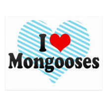 I Love Mongooses Post Card
