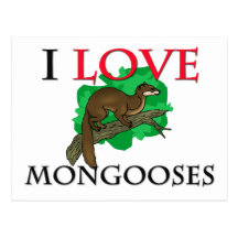I Love Mongooses Postcard