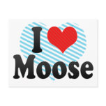 I Love Moose Postcards