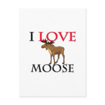 I Love Moose Postcard