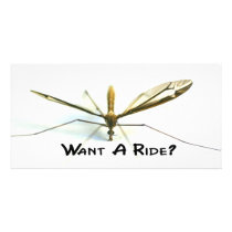 I love mosquitos photo cards by junglewalkcom I love mosquitos photo cards