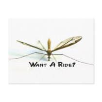 I love mosquitos postcards