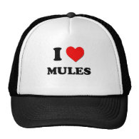 I Love Mules Mesh Hats