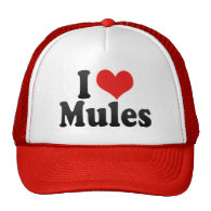 I Love Mules Mesh Hats