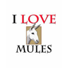 ladies_fitted_babydoll - I Love Mules ladies_fitted_babydoll - I Love Mules