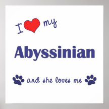 I Love My Abyssinian (Female Cat) Print