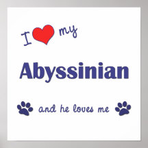 I Love My Abyssinian (Male Cat) Print