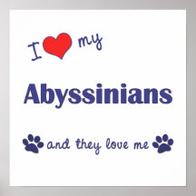 I Love My Abyssinians (Multiple Cats) Posters