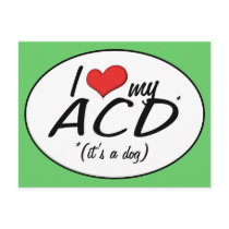 I Love My ACD (It's a Dog) Post Card