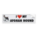 I Love My Afghan Hound bumpersticker