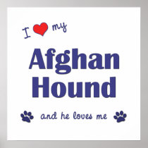 I Love My Afghan Hound (Male Dog) Print