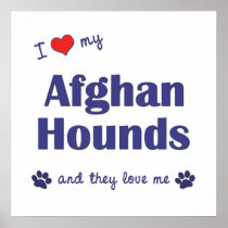 I Love My Afghan Hounds (Multiple Dogs) Print