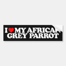I LOVE MY AFRICAN GREY PARROT BUMPER STICKERS
