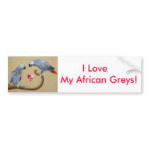 I Love My African Greys! bumper stickers