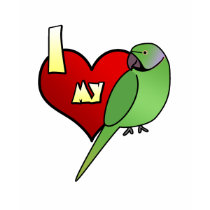 I Love my African Ringneck Parakeet t-shirts