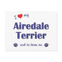 I Love My Airedale Terrier (Male Dog) Post Cards