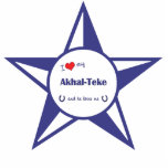 I Love My Akhal-Teke (Male Horse) Photo Cutouts