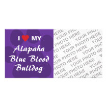 I Love My Alapaha Blue Blood Bulldog Picture Card