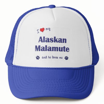I Love My Alaskan Malamute (Male Dog) Trucker Hat by thatsalottadogs