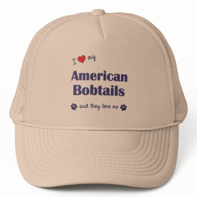 Show the world how much you love your American Bobtail cats (and that the
