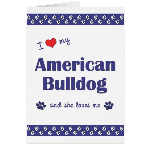 I Love My American Bulldog (Female Dog) Greeting Card